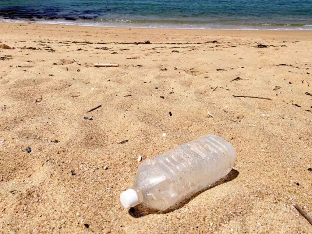 海洋プラスチック汚染