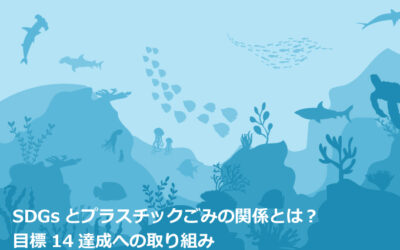 SDGsとプラスチックごみの関係