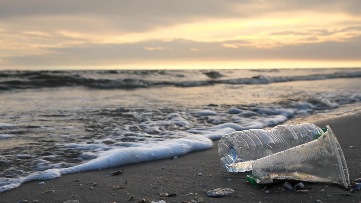海洋プラスチック問題の未来