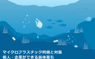 マイクロプラスチック問題と対策｜個人・企業ができる具体策も