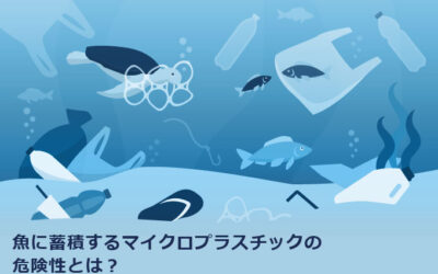 魚に蓄積するマイクロプラスチックの危険性とは？