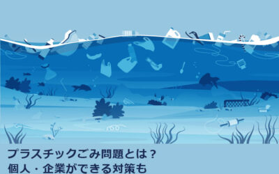 プラスチックごみ問題とは？個人・企業ができる対策も