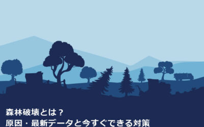 森林破壊とは？原因・最新データと今すぐできる対策