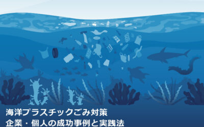 海洋プラスチックごみ対策｜企業・個人の成功事例と実践法