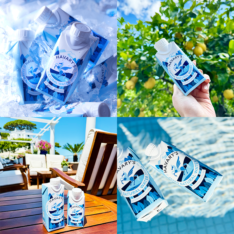 HAVARY'S Official Instagram Banner