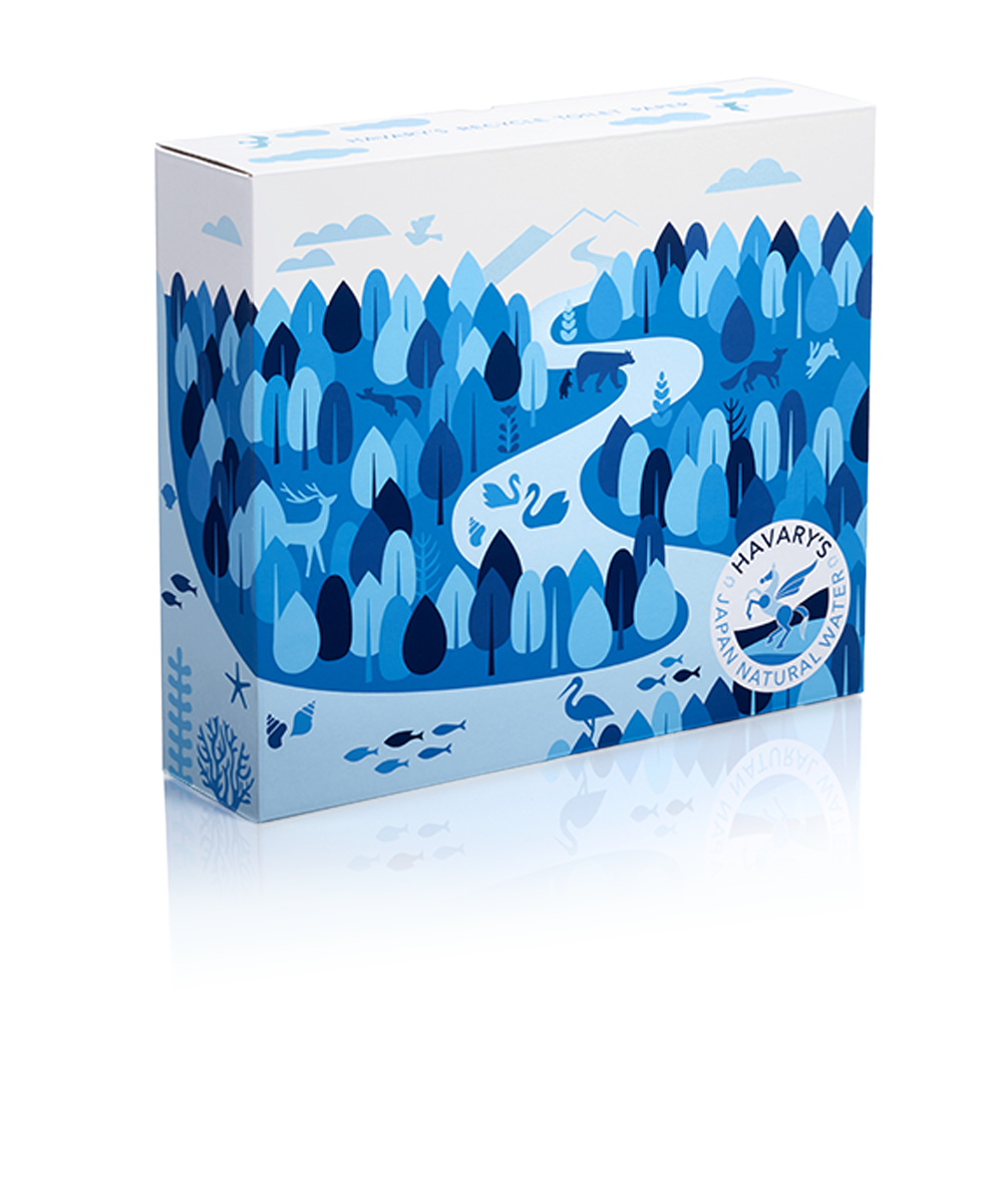 HAVARY’S Recycling Service - 12 Recycled Toilet Paper Rolls