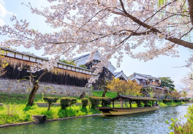 HAVARY'S 330ml 18-Pack Water Source - Fushimi Spring Landscape, Kyoto Prefecture