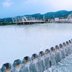 ハバリーズの水源保全