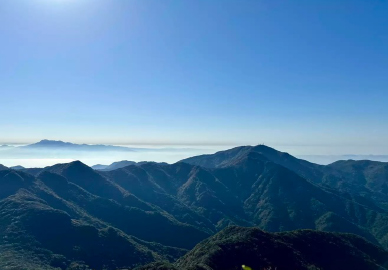 ハバリーズ330ml12本入りの採水地である佐賀県多良岳の風景